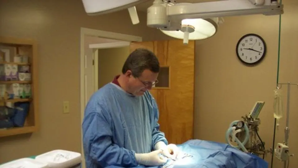 Baytree Animal Hospital - Veterinarian in Valdosta, Georgia