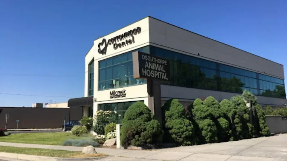Cottonwood Dental - Dentist in Salt Lake City, Utah