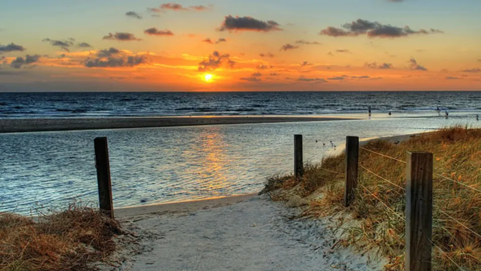 Crowley Associates Realty, Inc - Rehoboth - Real estate agency in Lewes, DE