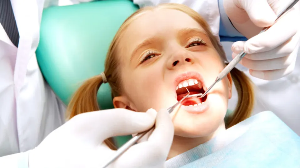 Fox Kids Dentistry & Orthodontics - Dentist in Portland, OR
