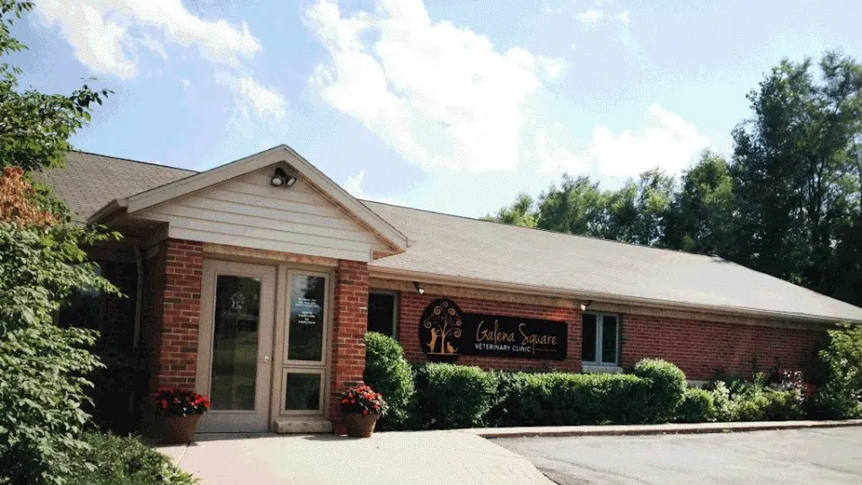 Galena Square Veterinary Clinic - Veterinarian in Galena, Illinois
