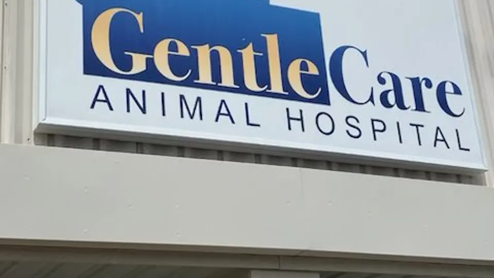 Gentle Care Animal Hospital - Animal hospital in Lawrence, Kansas