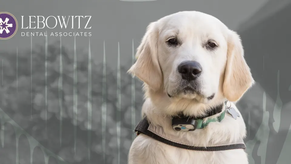 Lebowitz Dental Associates - Cosmetic dentist in Phoenix, AZ