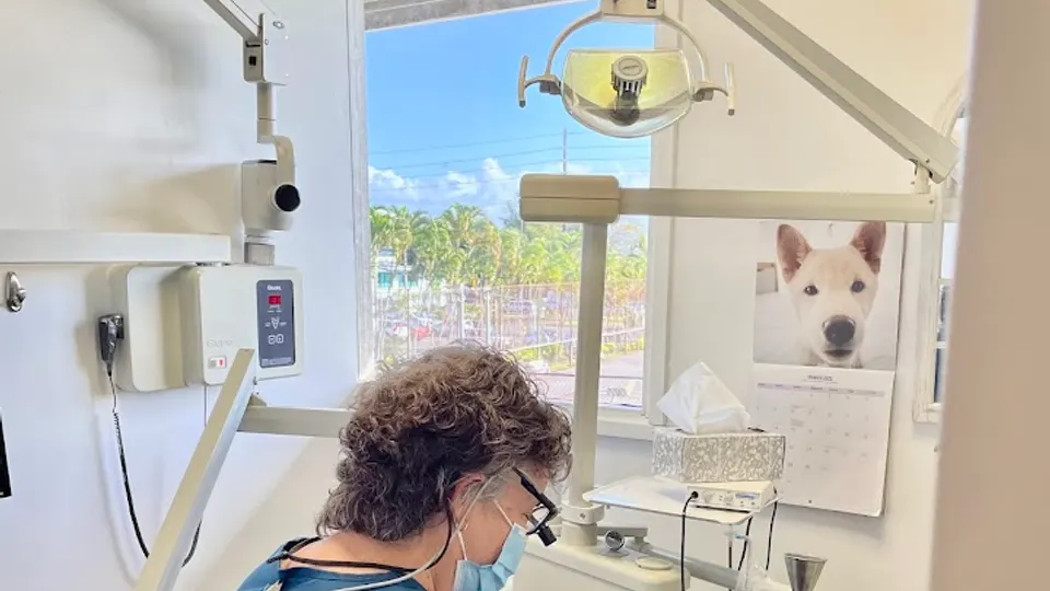 Mauna Family Dental - Dental clinic in Hilo, Hawaii