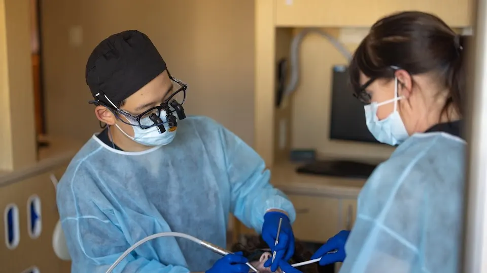 NE Portland Dental - Dentist in Portland, Oregon
