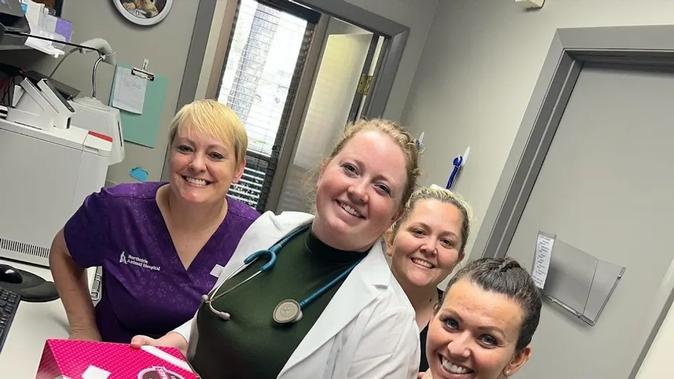 Northside Animal Hospital & Urgent Care - Veterinarian in Valdosta, Georgia
