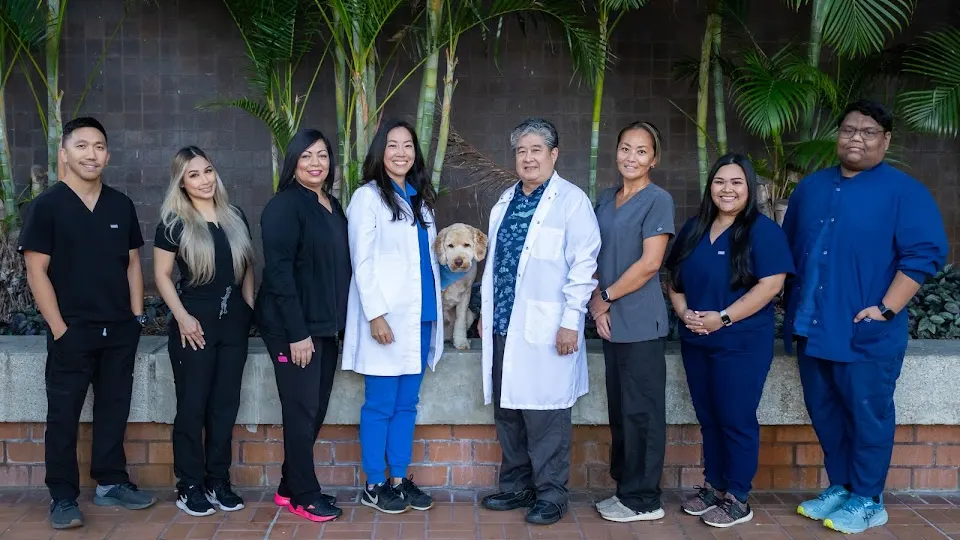 Pacific Dental Studio - Dentist in Honolulu, Hawaii