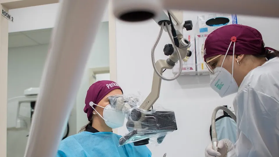PERKADENT - Dentist in Miami, FL