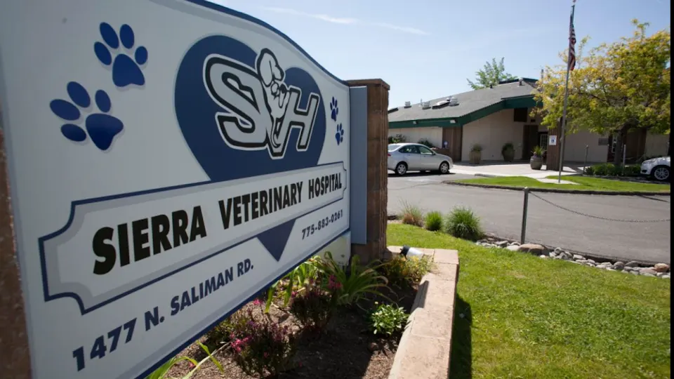 Sierra Veterinary Hospital - Animal hospital in Carson City, Nevada