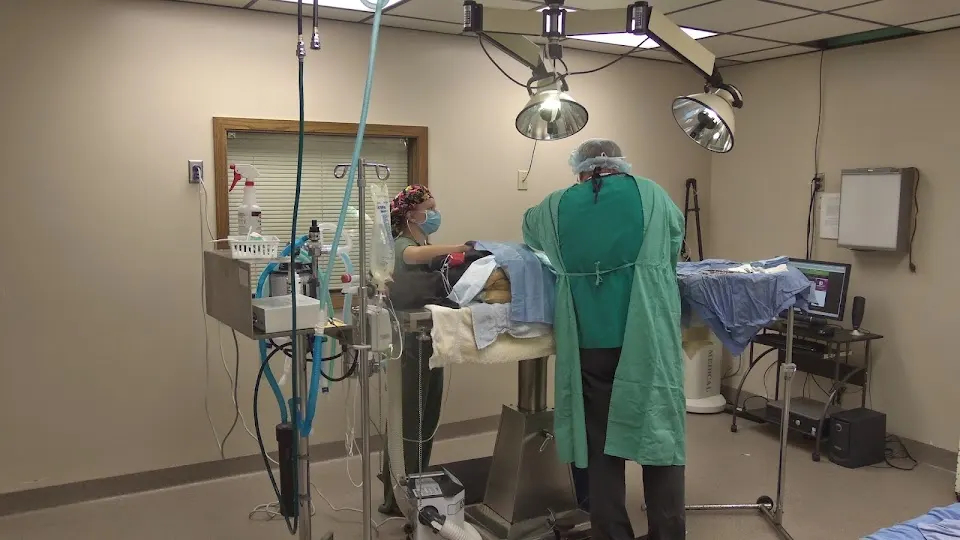 Valley Veterinary Hospital - Veterinarian in Fargo, North Dakota