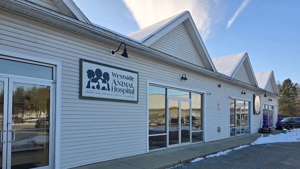 Westside Animal Hospital - Veterinarian in Keene, New Hampshire